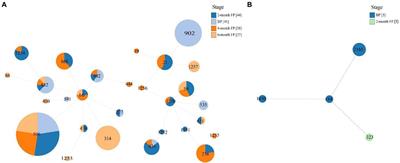 Persistence of transferable oxazolidinone resistance genes in enterococcal isolates from a swine farm in China